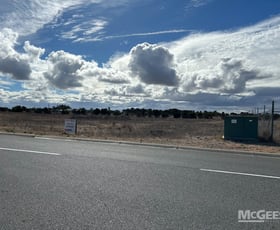 Development / Land commercial property for sale at Allotments Big Olive Grove Tailem Bend SA 5260