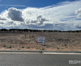 Development / Land commercial property for sale at Allotments Big Olive Grove Tailem Bend SA 5260