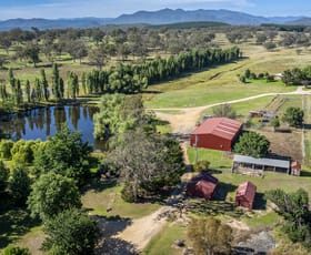 Rural / Farming commercial property for sale at 2028 Uriarra Road Coree NSW 2710