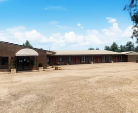 Hotel, Motel, Pub & Leisure commercial property for sale at Narrandera NSW 2700