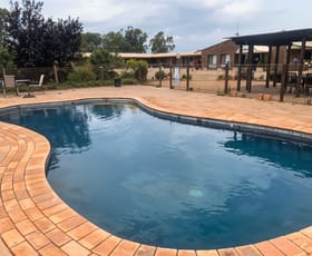 Hotel, Motel, Pub & Leisure commercial property for sale at Narrandera NSW 2700