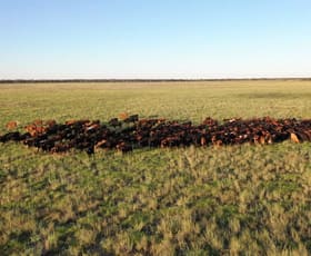 Rural / Farming commercial property for sale at 24265 Moonie Highway St George QLD 4487