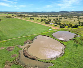 Rural / Farming commercial property for sale at 2482 Kings Plains Road Sapphire NSW 2360