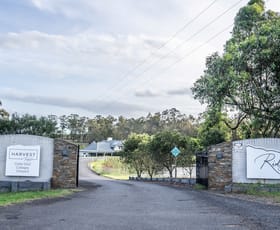Rural / Farming commercial property for sale at 257 & 273 Sweetwater Road Belford NSW 2335
