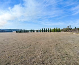 Development / Land commercial property for sale at Lot 2 Old Aerodrome Road Low Head TAS 7253