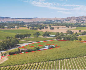 Development / Land commercial property for sale at 1234 Barossa Valley Way Lyndoch SA 5351