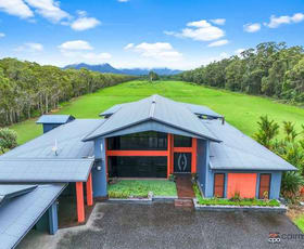 Rural / Farming commercial property for sale at 1595 Bramston Beach Road Bramston Beach QLD 4871