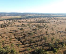 Rural / Farming commercial property for sale at 1075 Manumbar Road Runnymede QLD 4615