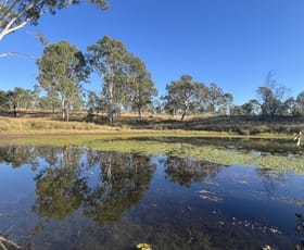 Rural / Farming commercial property for sale at 1075 Manumbar Road Runnymede QLD 4615