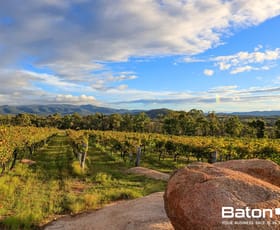 Rural / Farming commercial property for sale at 354 Sundown Road Ballandean QLD 4382