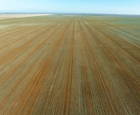Rural / Farming commercial property for sale at 609 Barragunda Road Urana NSW 2645