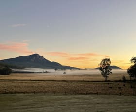 Hotel, Motel, Pub & Leisure commercial property for sale at Mount Barney QLD 4287