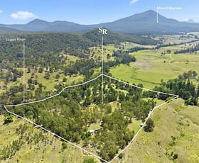 Hotel, Motel, Pub & Leisure commercial property for sale at Mount Barney QLD 4287