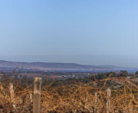 Rural / Farming commercial property for sale at 87 Adams Road Blewitt Springs SA 5171