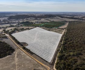 Rural / Farming commercial property for sale at Bull Creek Road Ashbourne SA 5157