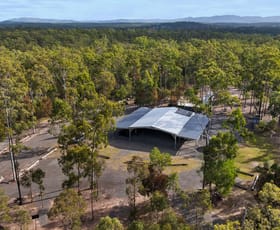 Rural / Farming commercial property for sale at 203 Gigoomgan Road Brooweena QLD 4620