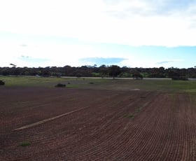 Development / Land commercial property for sale at 2 Ferries McDonald Road Monarto South SA 5254