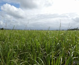 Rural / Farming commercial property for sale at Lot 2 Goondi Mill Road Goondi Bend QLD 4860