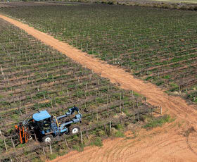 Rural / Farming commercial property for sale at Various Allotments, Waikerie District Waikerie SA 5330