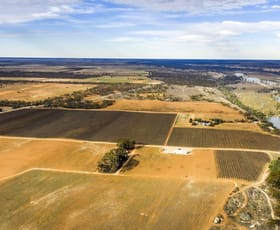 Rural / Farming commercial property for sale at 14921 & 14985 Sturt Highway Wigley Flat SA 5330