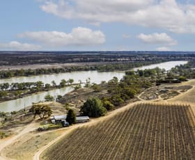 Rural / Farming commercial property for sale at 14921 & 14985 Sturt Highway Wigley Flat SA 5330