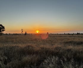 Rural / Farming commercial property for sale at 44 Begonia Road Ballaroo QLD 4455