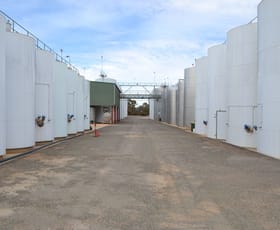 Rural / Farming commercial property for sale at 214 Nixon Road Monash SA 5342