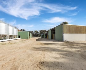 Rural / Farming commercial property for sale at 362 Thompsons Bridge Road Gunbower VIC 3566
