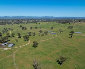 Rural / Farming commercial property for sale at Abington NSW 2350