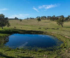 Rural / Farming commercial property for sale at Abington NSW 2350