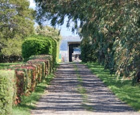 null commercial property for sale at 236 Saundridge Road Cressy TAS 7302 null commercial property for sale at 236 Saundridge Road Cressy TAS 7302