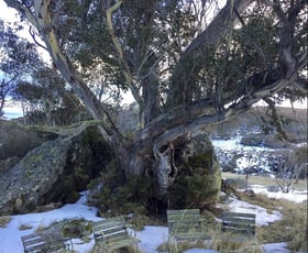 Hotel, Motel, Pub & Leisure commercial property for sale at Perisher Valley NSW 2624 Hotel, Motel, Pub & Leisure commercial property for sale at Perisher Valley NSW 2624