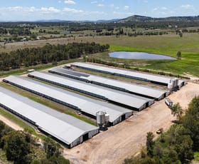 Rural / Farming commercial property for sale at 3 Steffens Road Forest Hill QLD 4342 Rural / Farming commercial property for sale at 3 Steffens Road Forest Hill QLD 4342