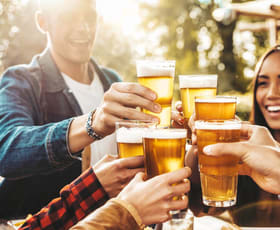 Hotel, Motel, Pub & Leisure commercial property for sale at Nanango QLD 4615