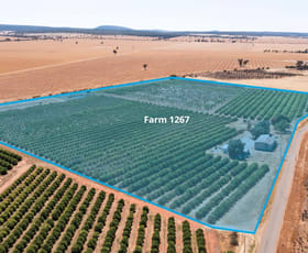 Rural / Farming commercial property for sale at Robinson Road and Corbie Hill Road Corbie Hill NSW 2705