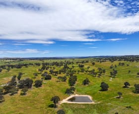 Rural / Farming commercial property for sale at 0 Shaws Road Gunning NSW 2581 Rural / Farming commercial property for sale at 0 Shaws Road Gunning NSW 2581