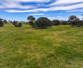 Rural / Farming commercial property for sale at 0 Shaws Road Gunning NSW 2581 Rural / Farming commercial property for sale at 0 Shaws Road Gunning NSW 2581