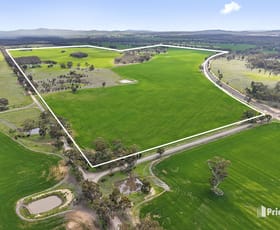 Rural / Farming commercial property for sale at Maxwells Lane Korong Vale VIC 3520