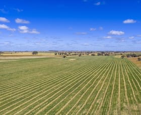 Rural / Farming commercial property for sale at 1695 Emu Flat Road Sherwood SA 5267