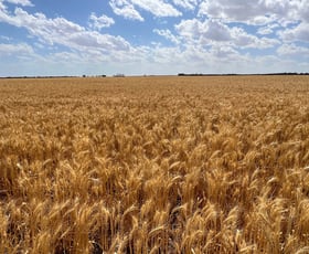 Rural / Farming commercial property for sale at Lot 504 Dowerin-Koorda Road Booralaming WA 6475