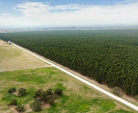 Rural / Farming commercial property for sale at Wattle Range SA 5280