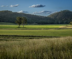 Rural / Farming commercial property for sale at Turner Downs 502 Oakfield Road Tansey QLD 4601 Rural / Farming commercial property for sale at Turner Downs 502 Oakfield Road Tansey QLD 4601