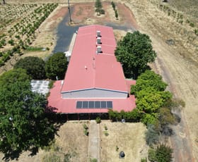 Other commercial property for sale at 18L Camp Road Dubbo NSW 2830 Other commercial property for sale at 18L Camp Road Dubbo NSW 2830