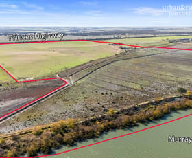 Rural / Farming commercial property for sale at 8172 Princes Highway Tailem Bend SA 5260 Rural / Farming commercial property for sale at 8172 Princes Highway Tailem Bend SA 5260