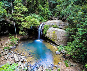 Hotel, Motel, Pub & Leisure commercial property for sale at Buderim QLD 4556