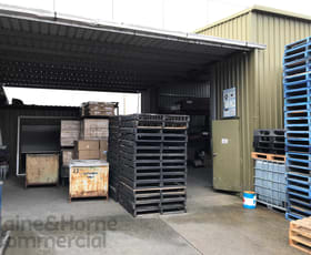 Factory, Warehouse & Industrial commercial property leased at B/101 Old Pittwater Road Brookvale NSW 2100