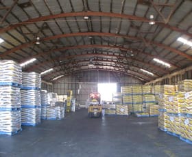 Factory, Warehouse & Industrial commercial property leased at 19 Dooley Street Park Avenue QLD 4701