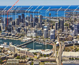 Offices commercial property leased at 50 Clarence Street Sydney NSW 2000
