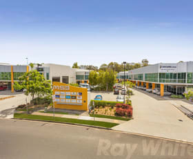 Offices commercial property leased at 2/53 Metroplex Avenue Murarrie QLD 4172