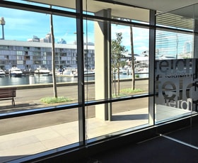 Medical / Consulting commercial property leased at Suite 2/8-14 Wharf Crescent Pyrmont NSW 2009